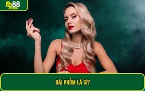 Bài phỏm là gì