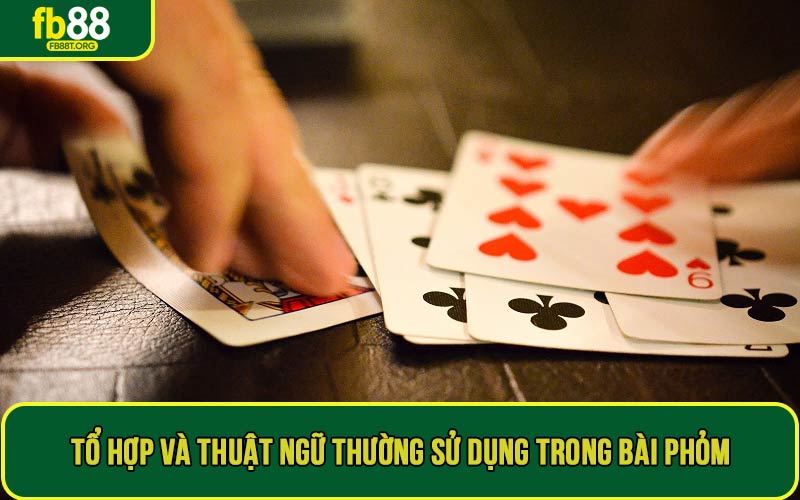 Tìm hiểu tổ hợp và thuật ngữ thường sử dụng trong bài phỏm là gì