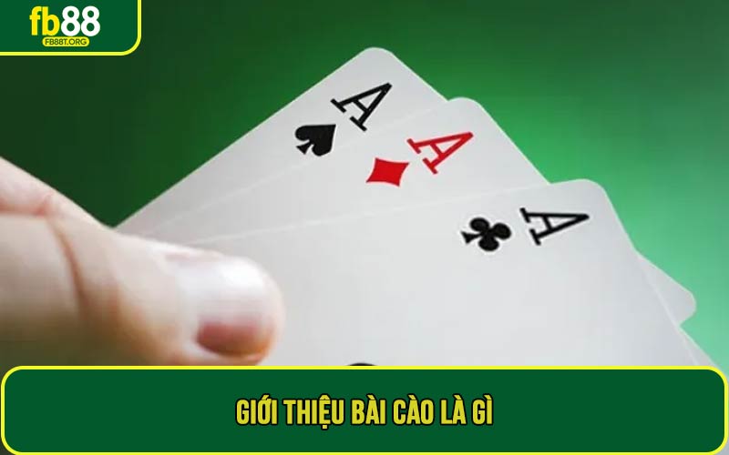 Giới thiệu bài cào là gì