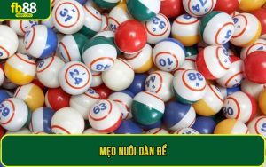 Mẹo nuôi dàn đề