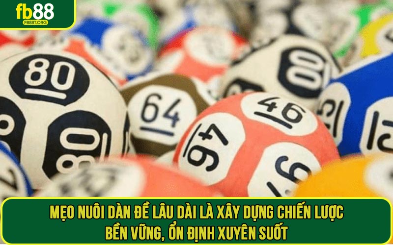 Mẹo nuôi dàn đề lâu dài là xây dựng chiến lược bền vững, ổn định xuyên suốt