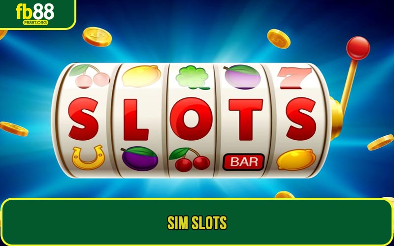 Sim slots