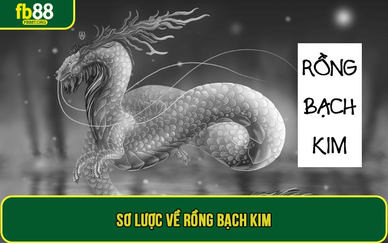 Sơ lược về Rồng bạch kim