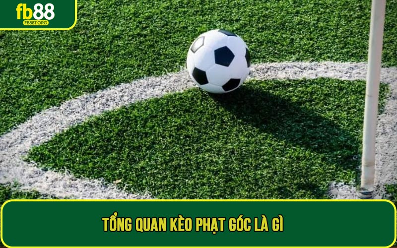 Tổng quan kèo phạt góc là gì